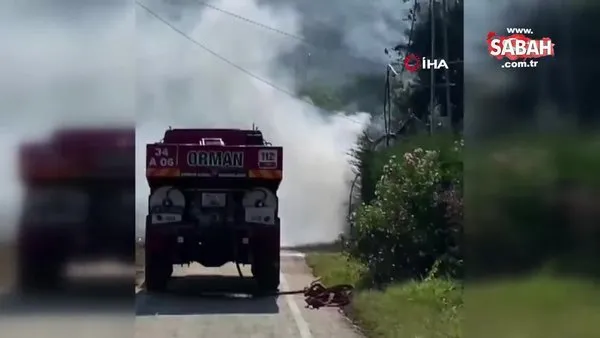 Heybeliada’da havai hatlarda çıkan yangın ağaçlara sıçradı | Video