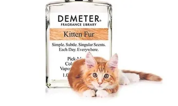 Kedi yavruları gibi kokmak ister misiniz?