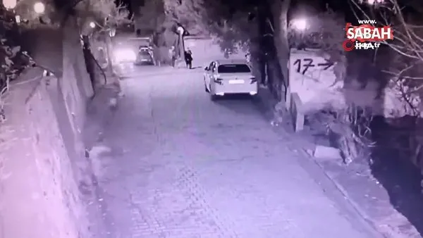 İstanbul'da yavru köpeğin otomobilin altında kaldığı anlar kamerada | Video