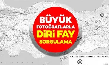 DİRİ FAY HARİTASI SORGULAMA SON DAKİKA: İşte en net Türkiye deprem haritası ve 6 bölgedeki diri fay hatları