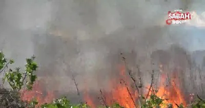 Antalya’da kargılık yangını: Alevler metrelerce yükseldi | Video