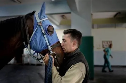 Yarış atları için özel hastane