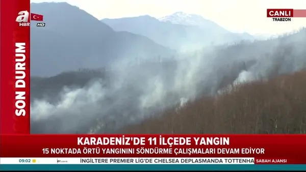 Karadeniz'de 26 noktada orman yangını:  Tarım arazileri zarar gördü, 5 ev kül oldu!
