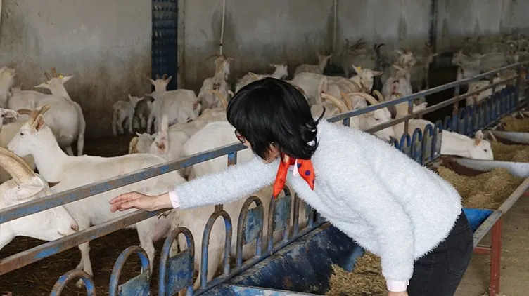 Güney Koreli girişimci Kocaeli’de çiftlik kurdu: Türkiye’nin yatırım altyapısı çok iyi