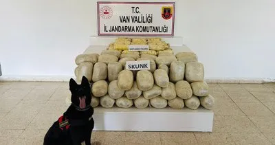 Van'da 106 kilo uyuşturucu yakalandı #van