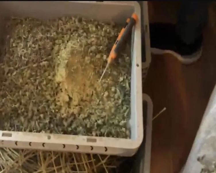 Başakşehir’de akılalmaz olay! Uyuşturucu imalatı için 3 katlı villanın her odasını kullandılar! Piyasa değeri 15 milyon TL