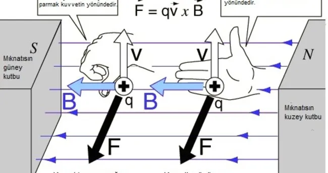 Manyetik kuvvet nedir?