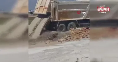 Yavru köpeklere beton atık suyu katliamı | Video