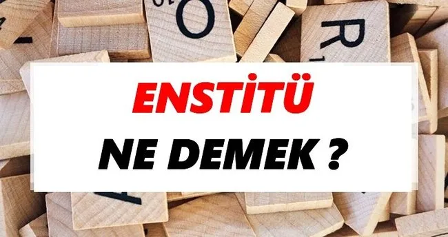 Enstitü Ne Demek? TDK’ya Göre Enstitü Sözlük Anlamı Nedir?