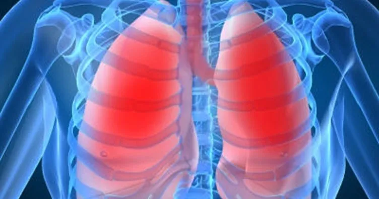 Akciğer ve pankreas kanserine karşı ömür uzatan ürün geliştiriliyor