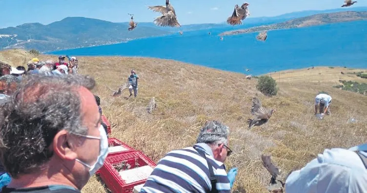 12 bin keklik 12 ilde doğaya salındı