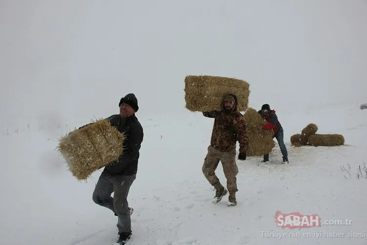 Amasya’da zorlu kış şartlarında yılkı atları için doğaya yem bırakıldı
