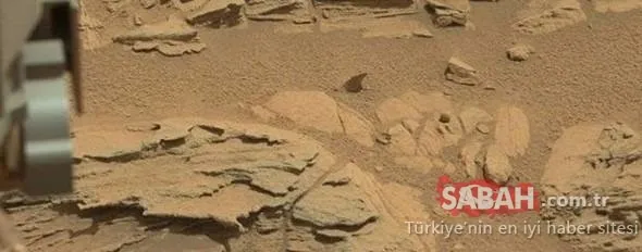 Mars'tan gelen fotoğraflar kan dondurdu! Dünyayı şaşkına çevirdi!