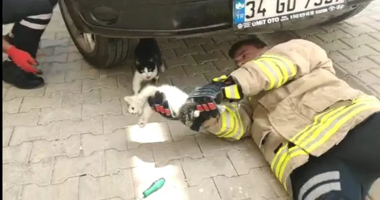 Nusaybin’de otomobil motoruna giren kediyi itfaiye ekipleri kurtardı