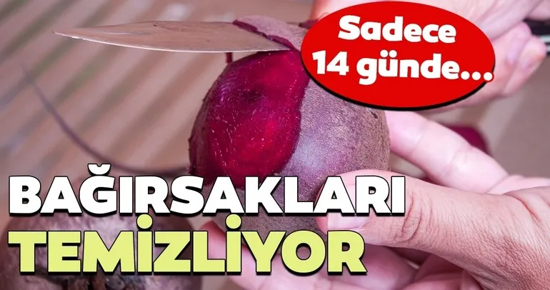 Mikrobiyom kürü ile sadece 14 günde bağırsaklarınızı temizleyin!