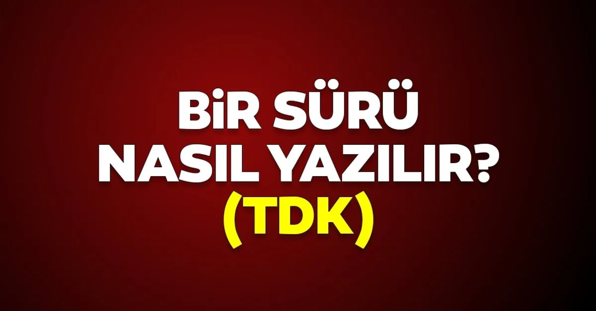 bir suru nasil yazilir tdk ye gore bir suru bitisik mi ayri mi yazilir iste dogru yazimi ve anlami kultur sanat haberleri