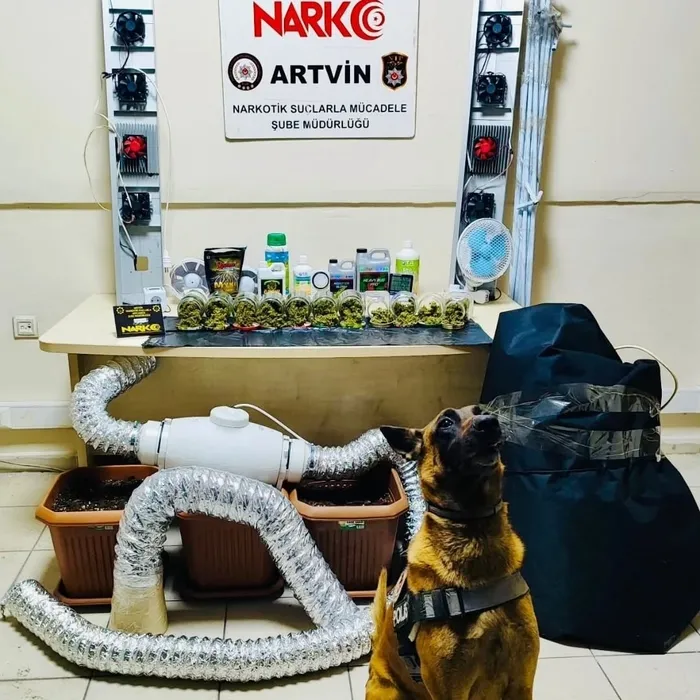 artvinde-uyusturucu-madde-ve-yetistirme-duzenegi-ele-gecirildi-1767767219766.jpg