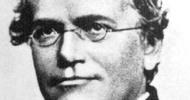 Mendel kanunları nedir?