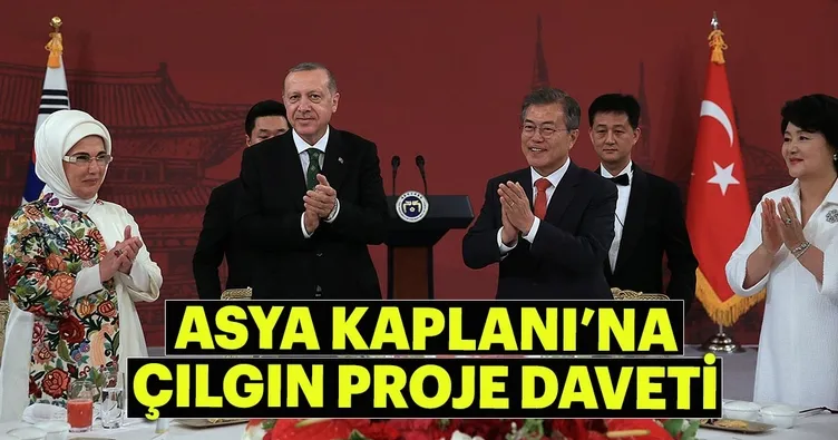 Asya Kaplanı’na çılgın proje daveti
