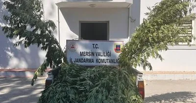 Mersin'de uyuşturucu operasyonunda 8 şüpheli gözaltına alındı #mersin