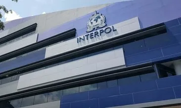 Türk Interpol polisinden 3 ülkede eş zamanlı operasyon