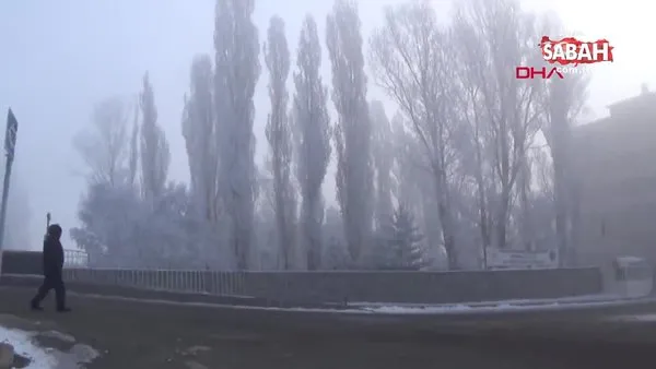 Ardahan'da çeşmeler buz tuttu, sis ulaşımı olumsuz etkiledi | video