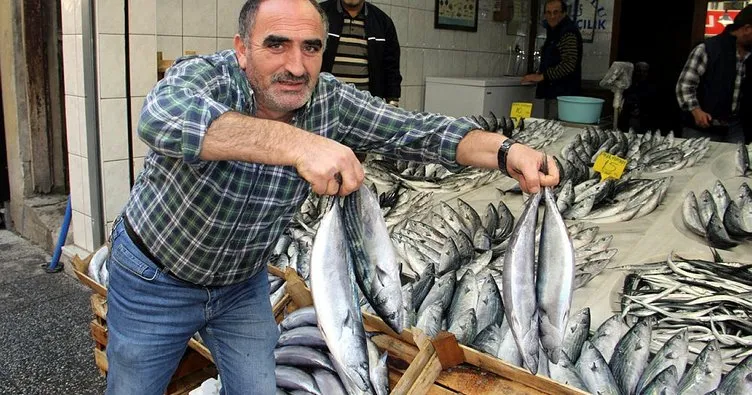 Karadenizli balıkçılara palamut sürprizi