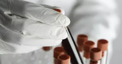 ÇIĞIR AÇACAK BULUŞ! Bilim insanları ‘İnsanlık tarihinin dönüm noktası’ olarak duyurdu