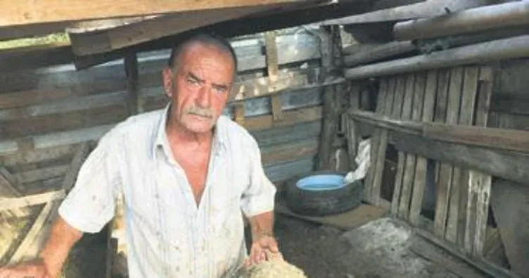 Kurban şebekesi hortladı