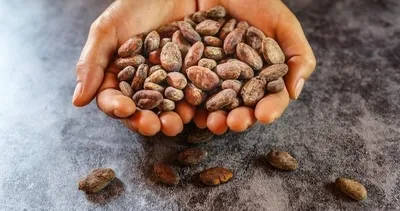 Adeta doğal antidepresan olan o besin! Stres seviyesini dibe çekiyor, mutluluk hormonunu artırıyor