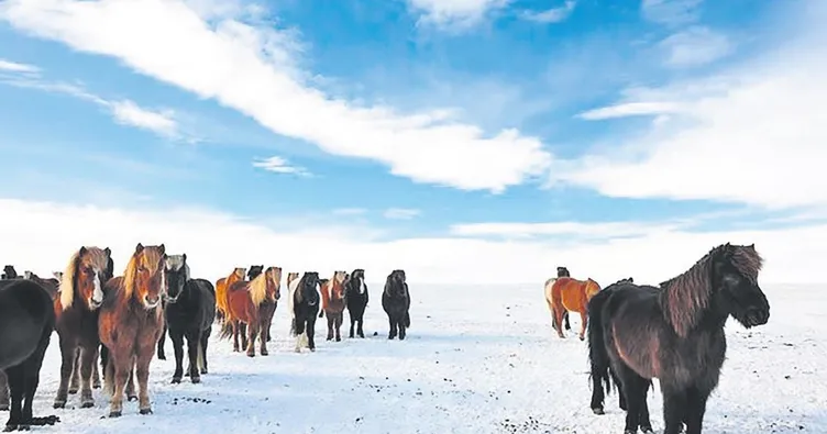 İzlanda’nın saklı güzellikleri