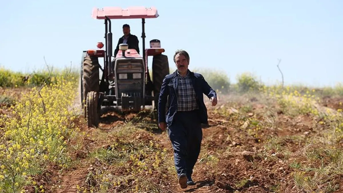 Çiftçilerin hesaplarına 331 milyon 664 bin TL yatırılacak Çiftçilerin hesaplarına 331 milyon 664 bin TL yatırılacak