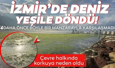 Masmavi deniz yeşile döndü! İzmir’de korkutan görüntü!
