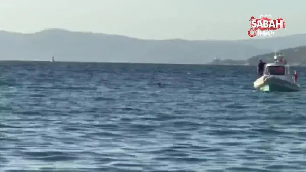Hesabı ödememek için denize atlayan şahıs yüzerek Yunan adasına doğru kaçmaya çalıştı | Video
