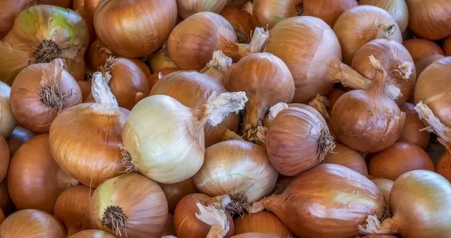 Ruyada Sogan Gormek Ne Demek Ruyada Sogan Almak Yemek Toplamak Ne Anlama Gelir Ruya Tabirleri Haberleri