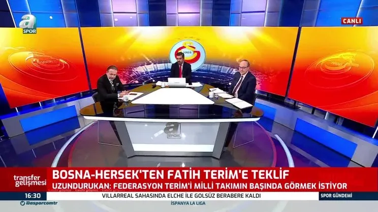 Bosna Hersek Fatih Terim'i istiyor