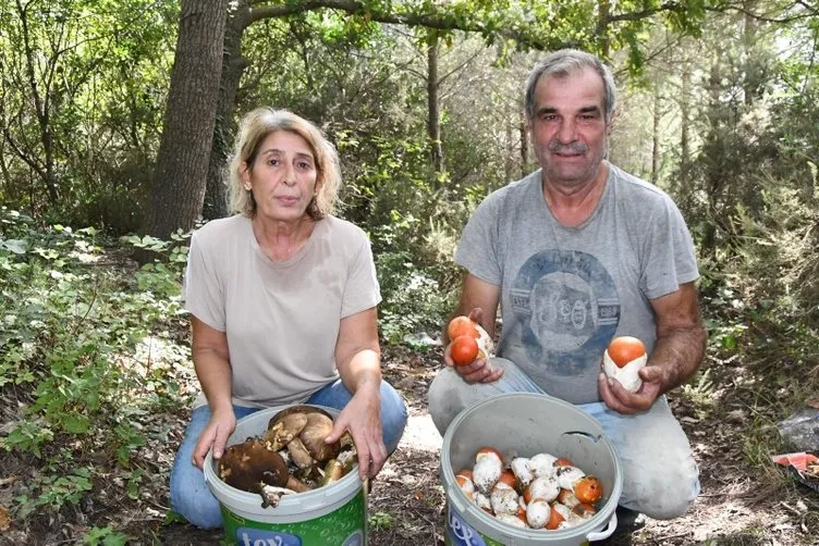 Kova kova toplayıp Avrupa’ya gönderiyorlar: Kilosu cep yakıyor!