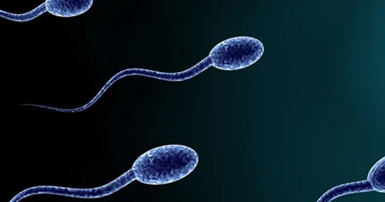 Batı’da erkeklerin sperm sayısı azalıyor