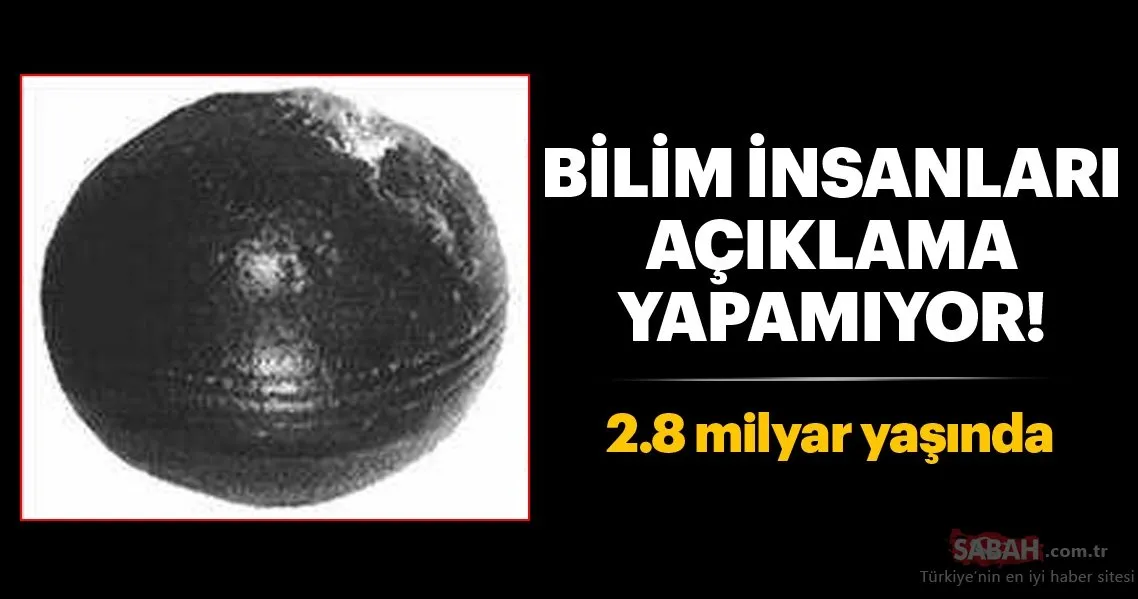 bu olaylari bilim insanlari bile