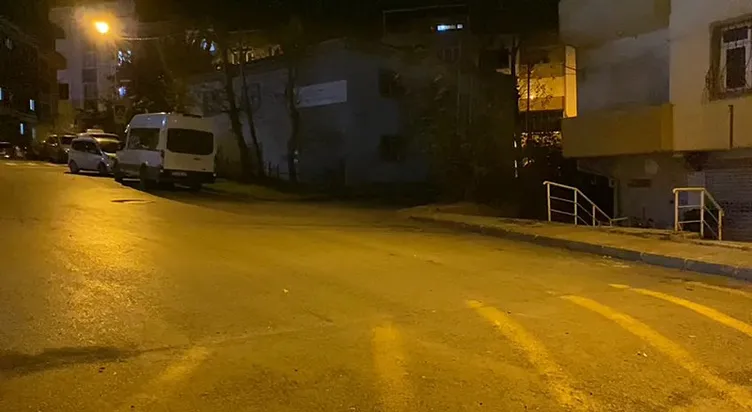 Kardeşler arasındaki kavga feci bitti: Araya giren annesini bıçaklayarak öldürdü!