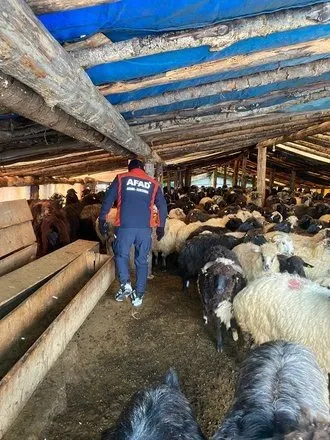 Murat Gezer 43 gündür kayıp: Anne Gezer gözyaşları eşliğinde oğlundan haber bekliyor!