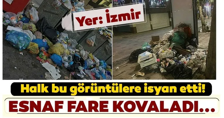 Çiğli’de çöpler toplanmadı, esnaf fare kovaladı! İzmir belediyesinde çöp sorunu