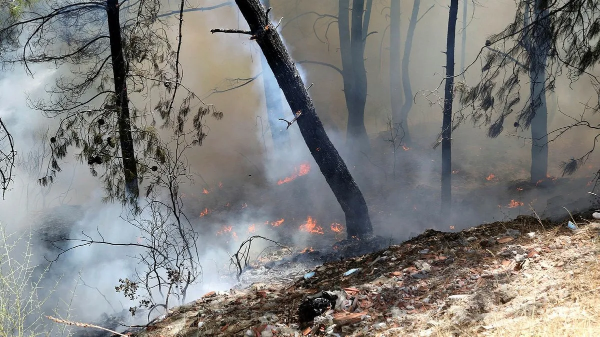 Antalya'da orman yangını: Havadan ve karadan mühadele edildi! Kontrol altına alındı