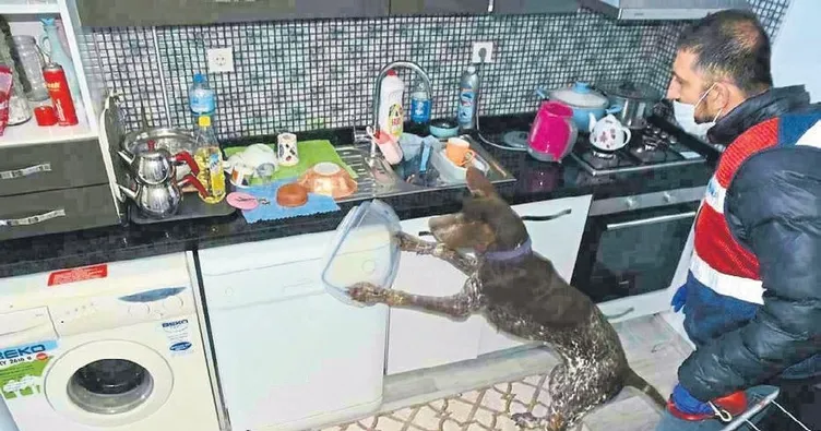 Torbacılar narkotik köpeğine yakalandı