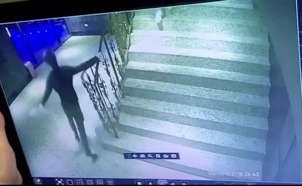 Tayvan’da görülmemiş olay! Hamam böcekleri ile saldırdılar