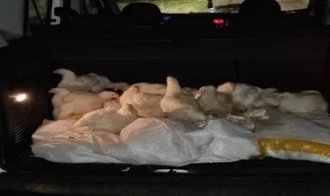 Bolu’daki ’tavuk’ hırsızları yakalandı