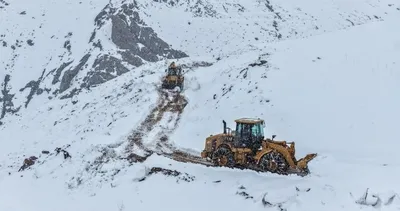 Kar yağışı kartpostallık görüntüler oluşturdu #van