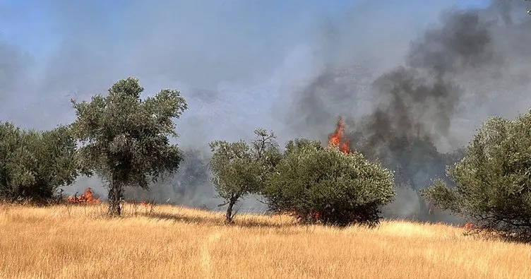 Milas’ta ikinci orman yangını