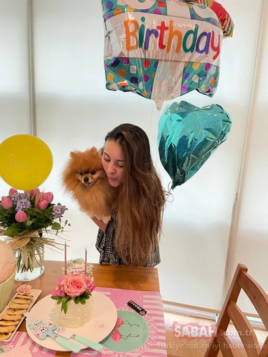 Yurt dışına çıkarken bırakmıştı! Köpek otelindeki ölüm savcılığa taşındı