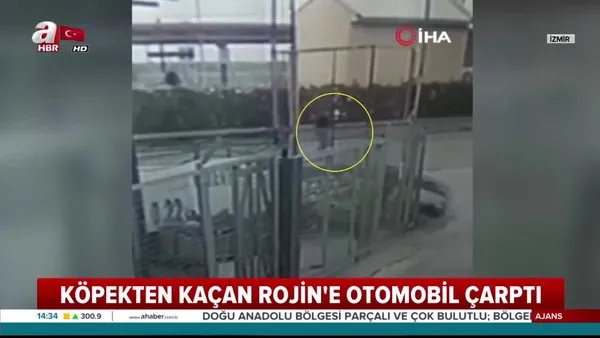 İzmir'de köpeklerden kaçarken bir aracın altında kalarak ölen minik kızın görüntüleri ortaya çıktı!